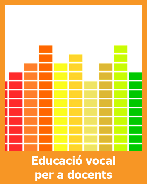Educació vocal per a docents